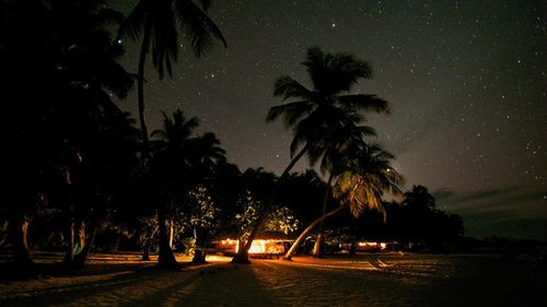 新婚旅行前に知っておきたいナイトライフ